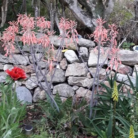 Holiday home Typique Ardechois Sous Le Figuier